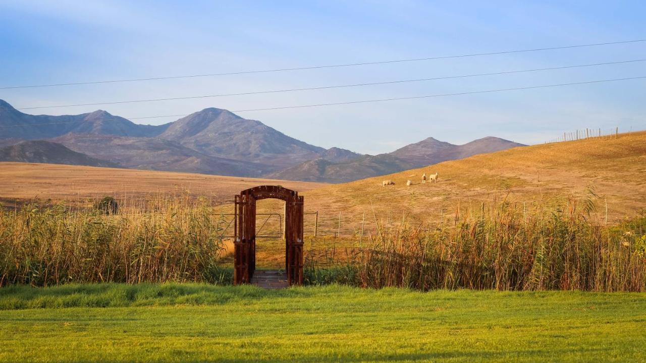 Endless Vineyards At Wildekrans Wine Estate Guest House Botrivier Bagian luar foto