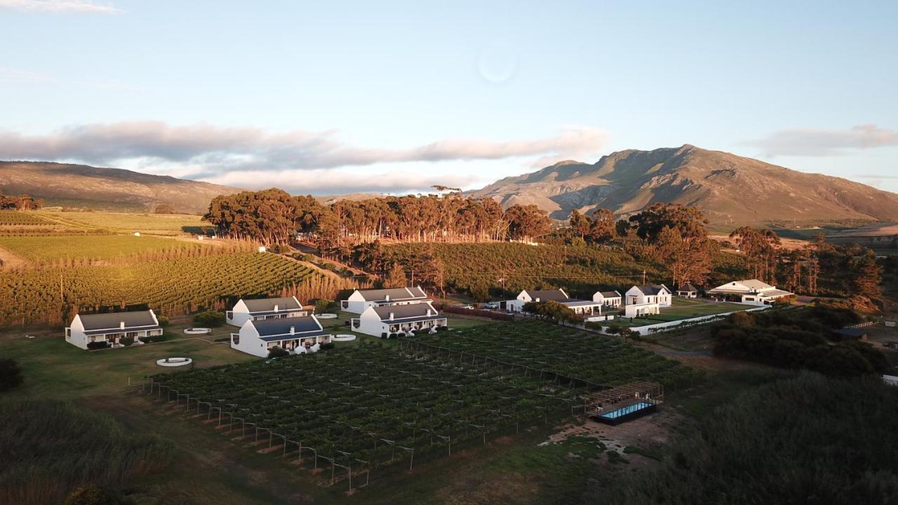 Endless Vineyards At Wildekrans Wine Estate Guest House Botrivier Bagian luar foto