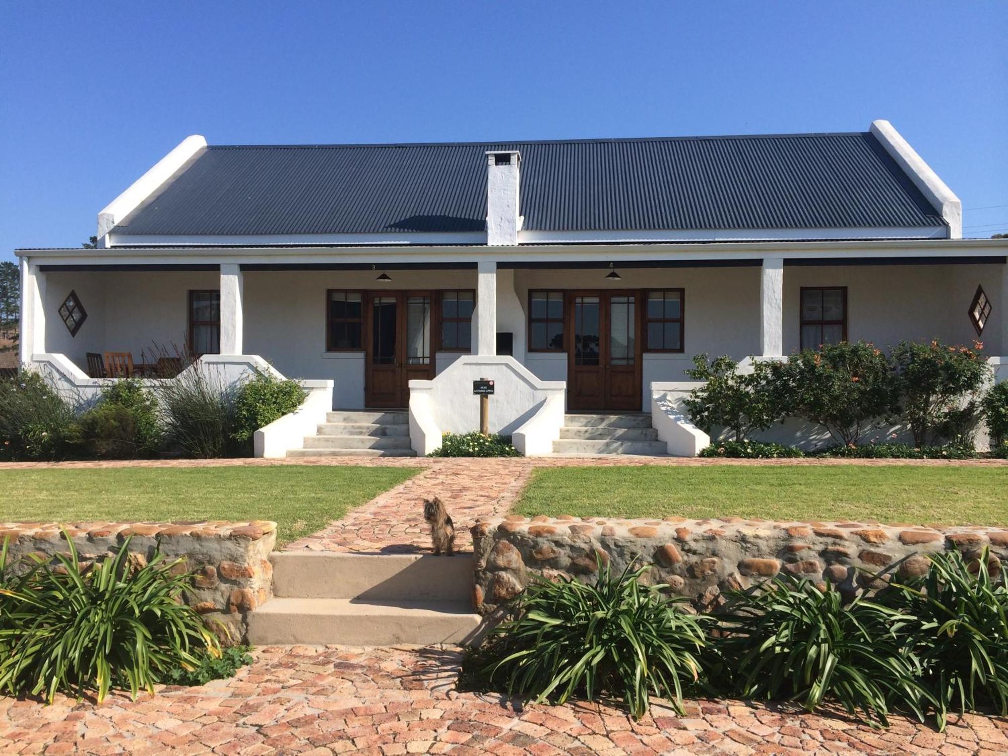 Endless Vineyards At Wildekrans Wine Estate Guest House Botrivier Bagian luar foto