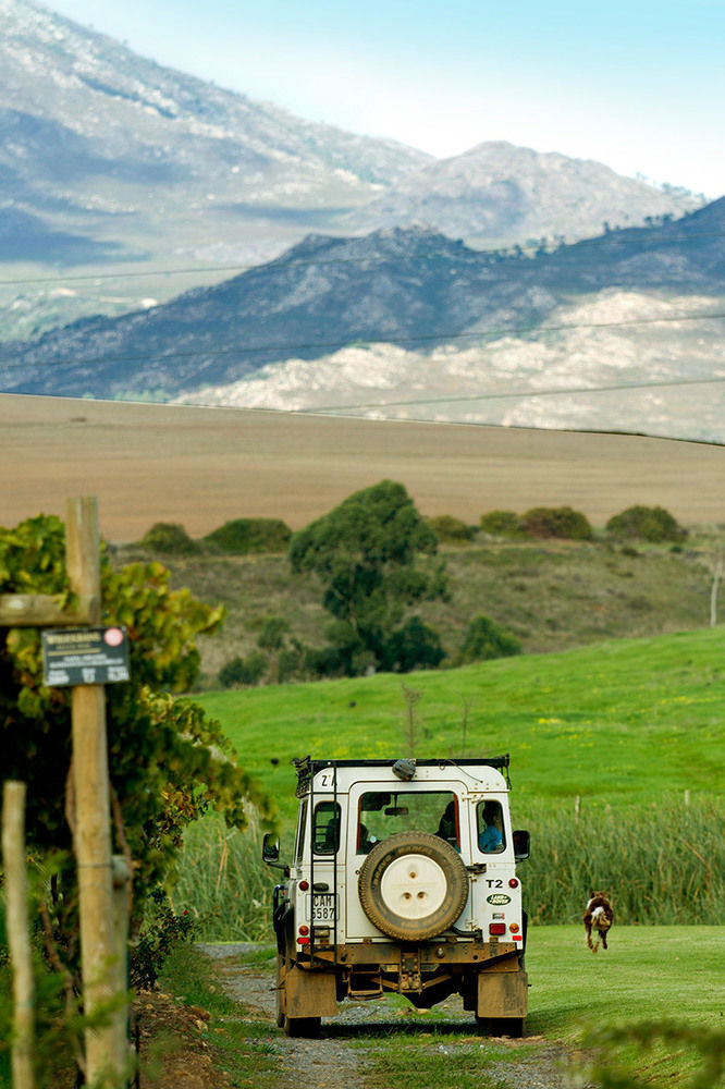 Endless Vineyards At Wildekrans Wine Estate Guest House Botrivier Bagian luar foto