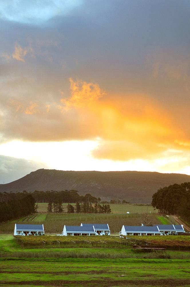 Endless Vineyards At Wildekrans Wine Estate Guest House Botrivier Bagian luar foto
