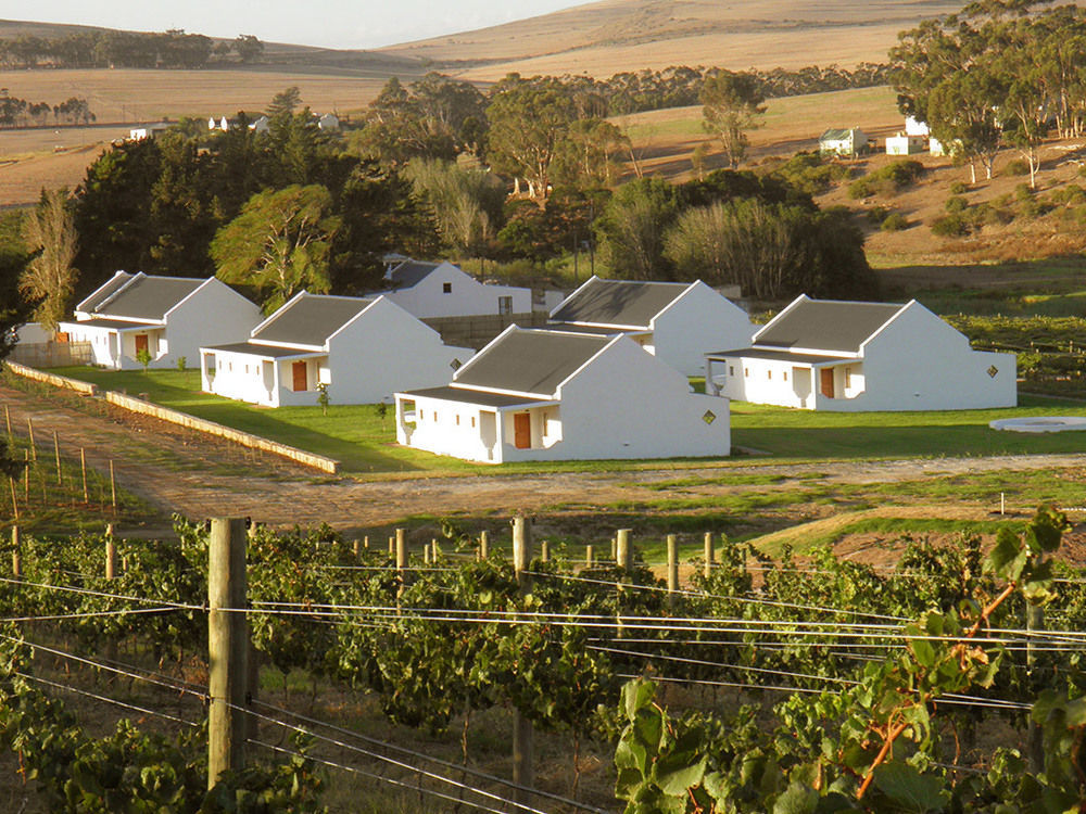Endless Vineyards At Wildekrans Wine Estate Guest House Botrivier Bagian luar foto