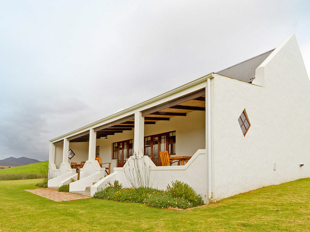 Endless Vineyards At Wildekrans Wine Estate Guest House Botrivier Bagian luar foto