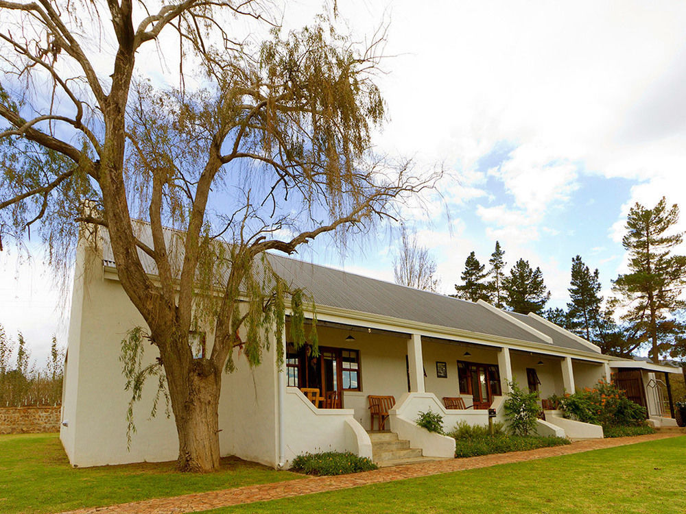 Endless Vineyards At Wildekrans Wine Estate Guest House Botrivier Bagian luar foto