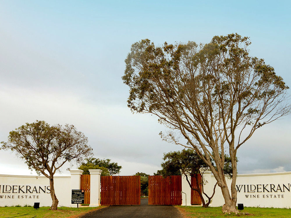 Endless Vineyards At Wildekrans Wine Estate Guest House Botrivier Bagian luar foto