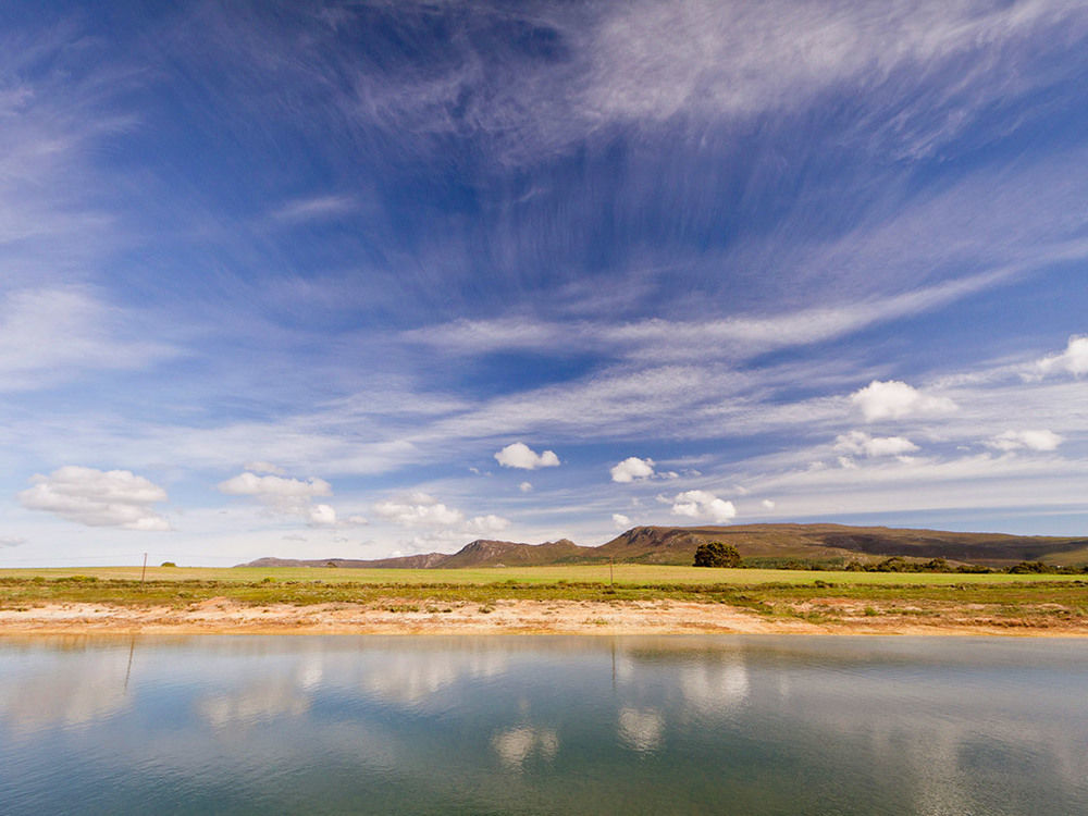 Endless Vineyards At Wildekrans Wine Estate Guest House Botrivier Bagian luar foto