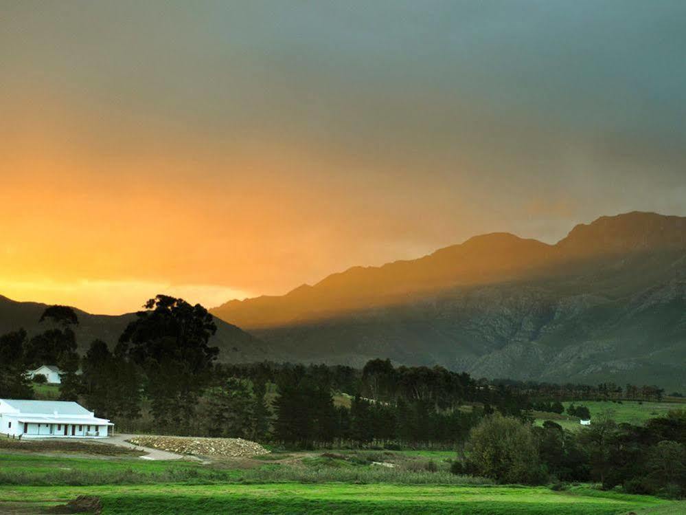 Endless Vineyards At Wildekrans Wine Estate Guest House Botrivier Bagian luar foto