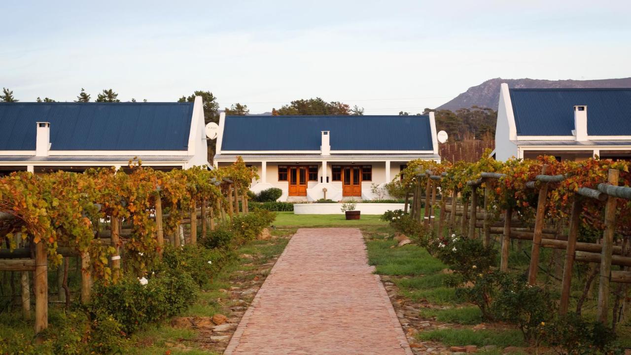 Endless Vineyards At Wildekrans Wine Estate Guest House Botrivier Bagian luar foto